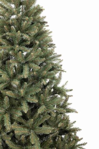 Detail vianočného stromčeka Smrek Nórsky. Vetvičky majú svetlozelenú farbu.