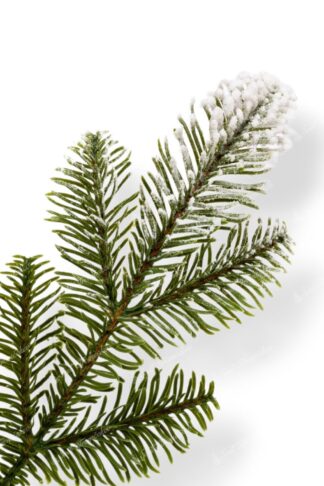 Detail vetvičky Umelý vianočný stromček 3D Jedľa Zasnežená