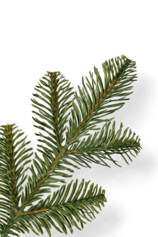 Detail vetvičky Umelý vianočný stromček FULL 3D Jedľa Kaukazská.má ihličie svetlozelenej farby