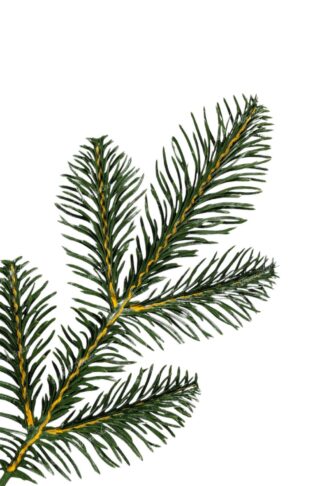 Detail vetvičky Umelý vianočný stromček 3D Jedľa Normandská