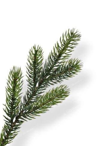 Detail vetvičky Umelý vianočný stromček 3D Smrek Robustný, ihličie má prirodzenú zelenú farbu