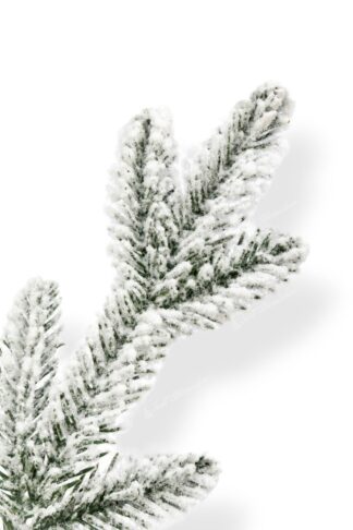 Detail vetvičky Vianočný stromček 3D Smrek Kráľovský