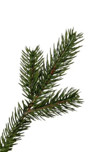 Detail vetvičky Umelý vianočný stromček 3D Mini Jedlička