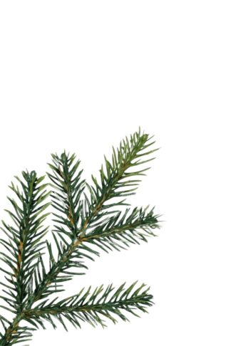 Detail vetvičky Umelý vianočný stromček 3D Mini Smrek Lesný v kvetináči