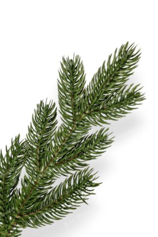 Detail vetvičky Umelý vianočný stromček 3D Smrek Exkluzívny, ihličie má prirodzenú zelenú farbu
