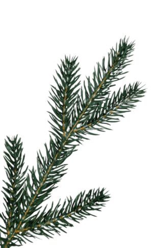 Detail vetvičky Umelý vianočný stromček 3D Smrek Horský