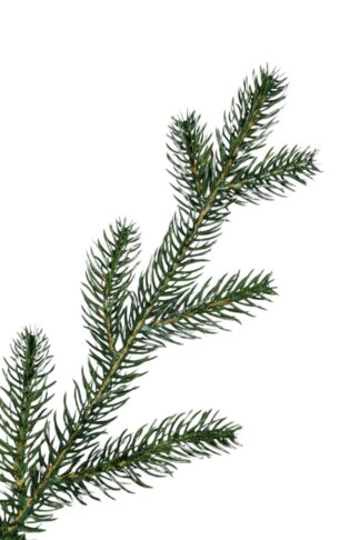 Detail vetvičky Umelý vianočný stromček FULL 3D Smrek Prírodný