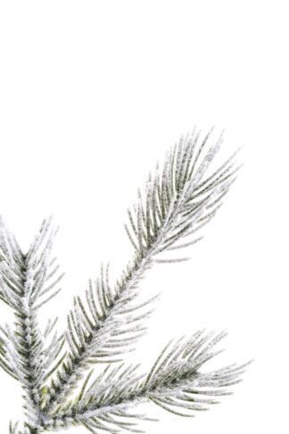 Detail vetvičky vianočného stromčeka 3D Smrek Aljašský v kvetináči je pokrytá snehom