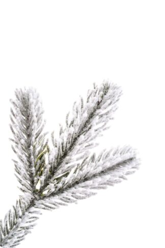 Detail vetvičky vianočného stromčeka 3D Smrek Arktický v kvetináči, ihličie je jemne zasnežené.