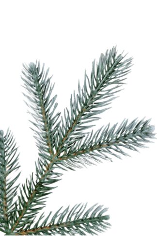 Detail vetvičky Umelý vianočný stromček 3D Smrek Strieborný