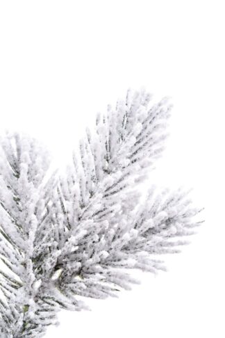 Detail vetvičky Umelý vianočný stromček 3D Borovica Biela, je pokrytá snehom