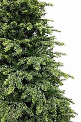 Detail vianočného stromčeka 3D Jedľa Balzamová, vetvičky sú mohutného tvaru a ihličie na koncoch má bledozelenú farbu.